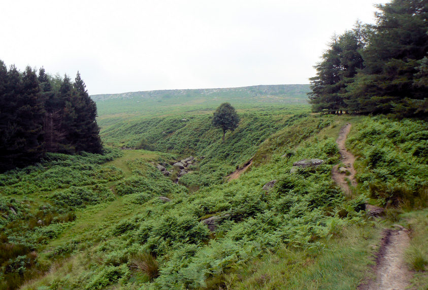 Burbage Rocks Burbage Rocks